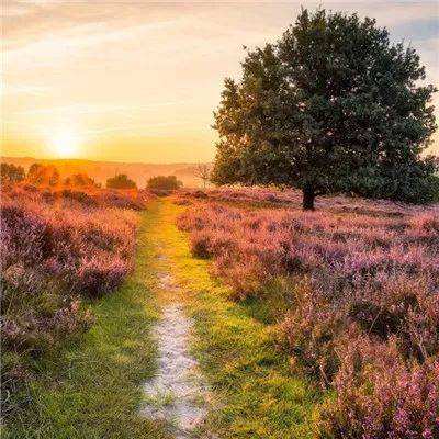 广西防城港房产网