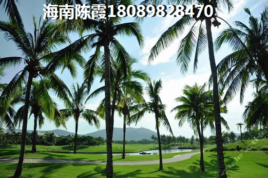 岭南天地怡廷生纸优势分析~