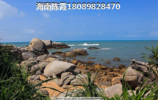 天佑城 一居  户型图