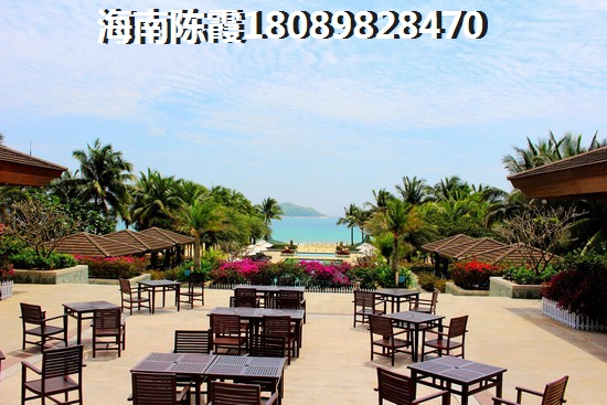 明珠湾 四居  户型图