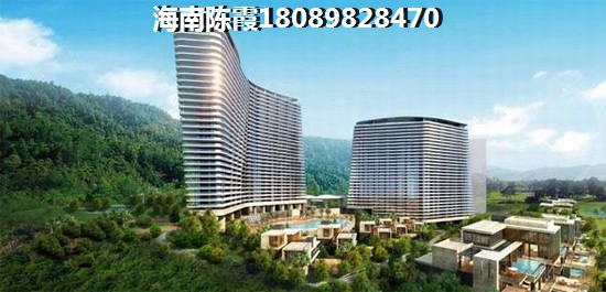 美的新海岸 两居  户型图